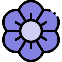 petunia icon