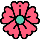 amapola icon