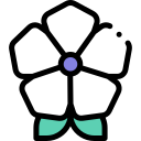 flores icon