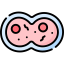 mitosis icon