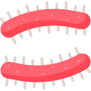 bacterias icon