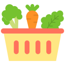 vegetales icon