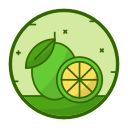 limón icon