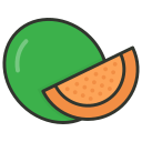 melón icon