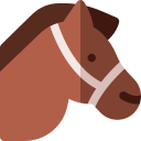 caballo icon