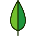 Leaf