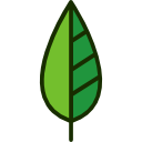 Leaf