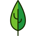 Leaf