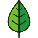 Leaf