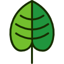 Leaf icon