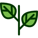 Leaf icon