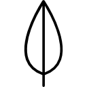 Leaf icon