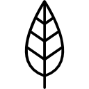 Leaf icon