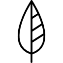 Leaf icon