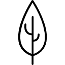 Leaf icon