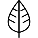 Leaf icon