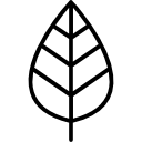 Leaf icon