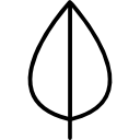 Leaf icon