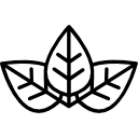 Leaf icon