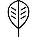 Leaf icon