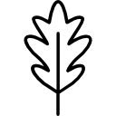 Leaf icon