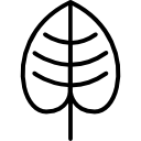 Leaf icon