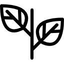 Leaf icon