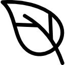 Leaf icon