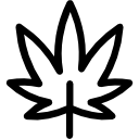 Leaf icon