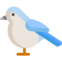 pájaro icon