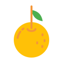 naranja icon