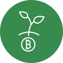 bitcoin icon