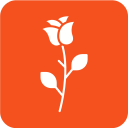 rosa icon