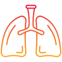 pulmones icon