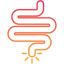 intestino icon