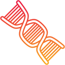 estructura del adn