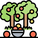 huerta icon