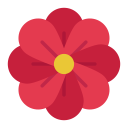 hibisco icon