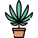 planta icon