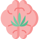 cerebro icon