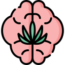 cerebro icon