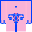 sistema reproductivo 