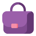 bolso icon