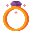 anillo icon