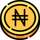 naira icon