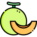 melón icon