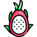 dragon de fruta icon