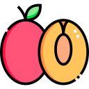 tamarillo icon