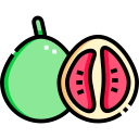 pomelo icon