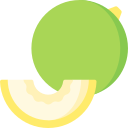 melón icon